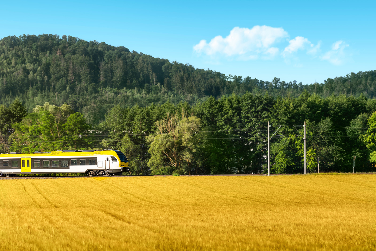 Train in motion across agricultural fields and forests.