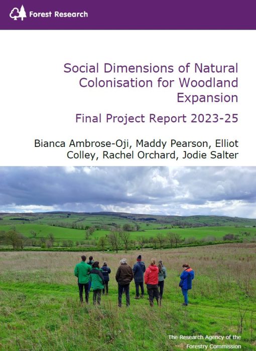 Report cover