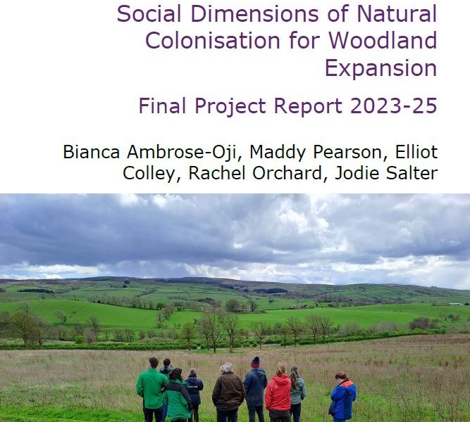 Report cover