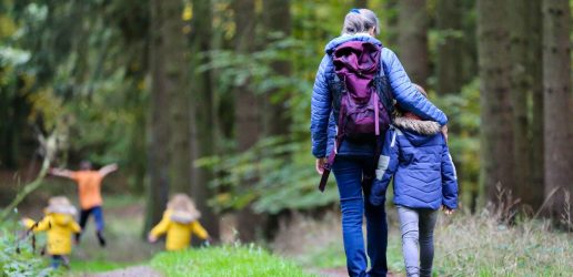 An adult and child walk together along a woodland path with other children in the distance.