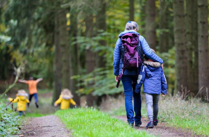 An adult and child walk together along a woodland path with other children in the distance.