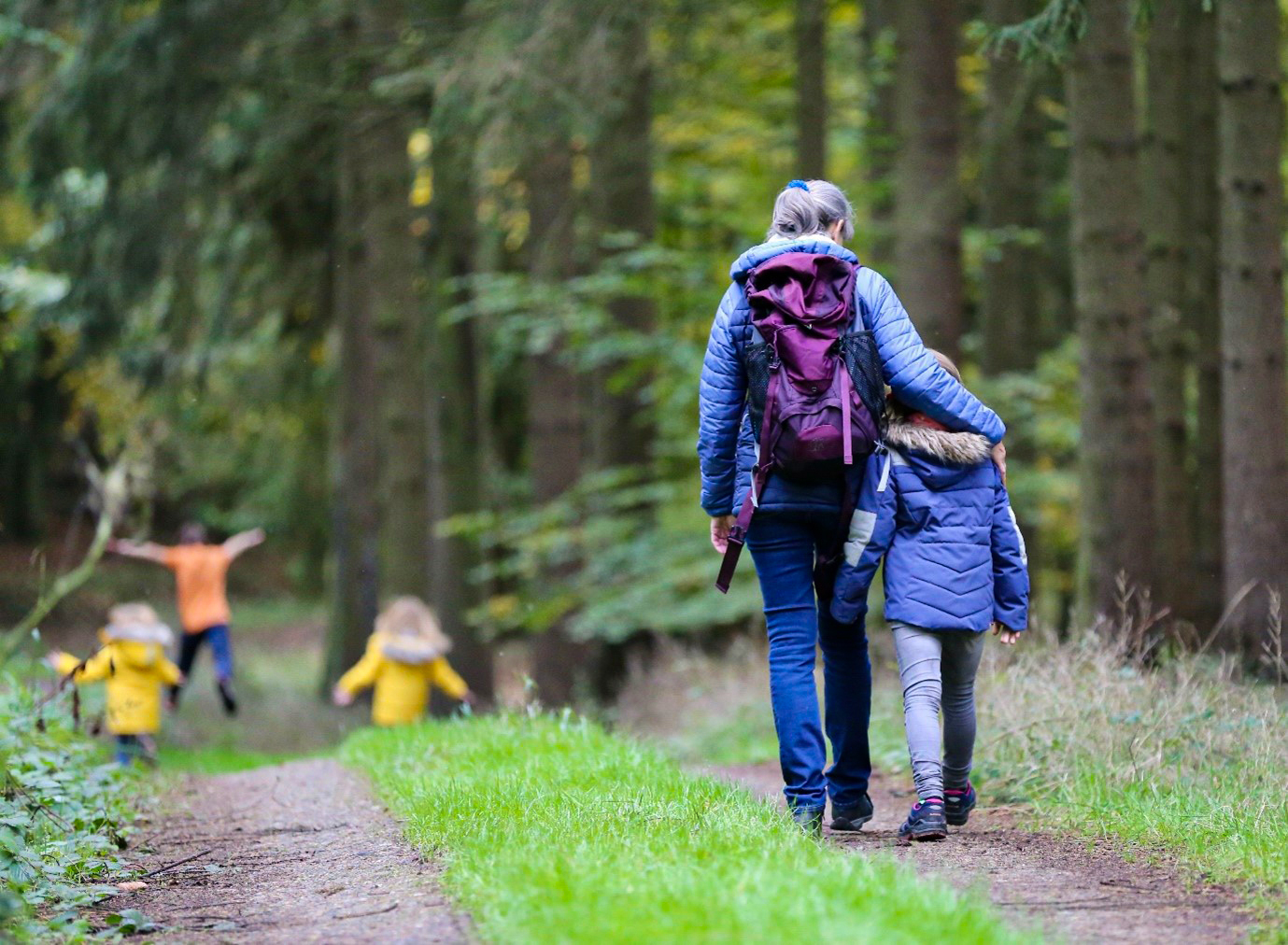 An adult and child walk together along a woodland path with other children in the distance.
