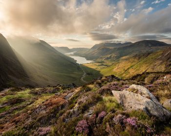 View of Cumbria - Lake District - heather in foreground and hills and lake in background