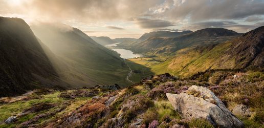 View of Cumbria - Lake District - heather in foreground and hills and lake in background