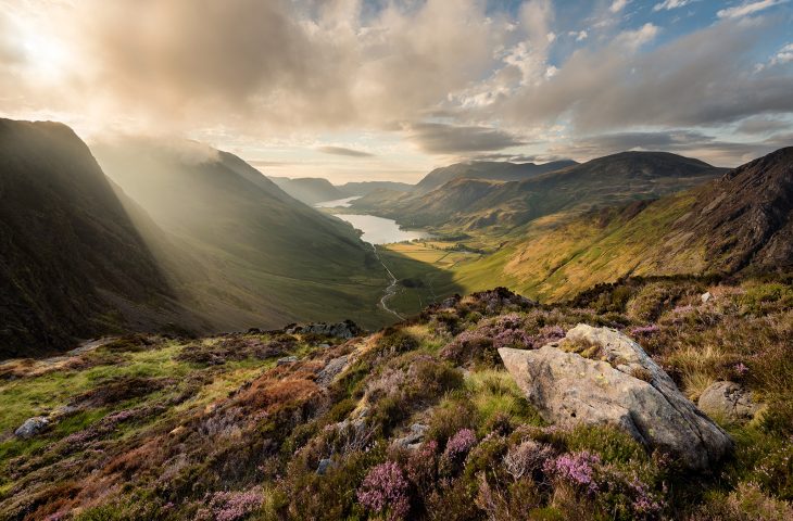 View of Cumbria - Lake District - heather in foreground and hills and lake in background