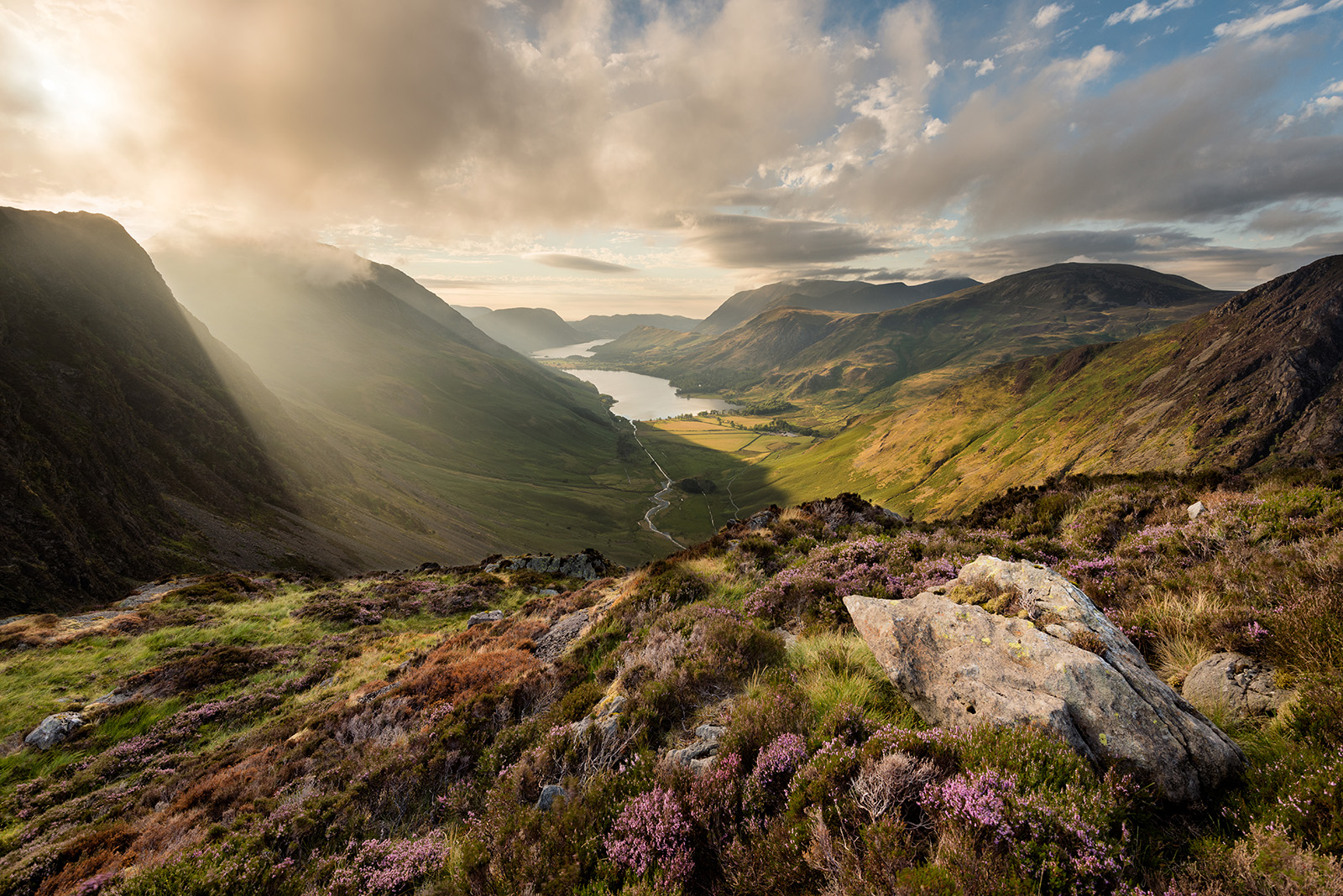 View of Cumbria - Lake District - heather in foreground and hills and lake in background