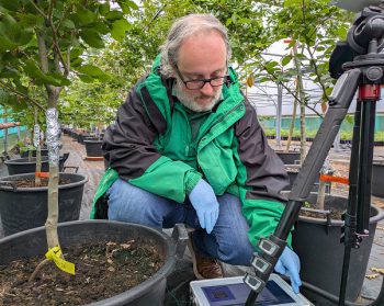 George Xenakis inspects information on a tablet device while crouching amongst young trees in pots.