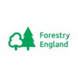 Forestry England Logo