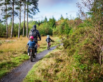 Family cycling in woods