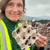 A profile photo of Katty Baird - she is holding a piece of cardboard that has many moths on it.