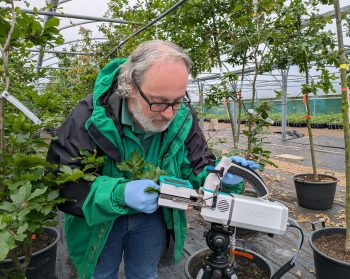 Survey for managers of mixed-species stands to contribute to research into drought resilience