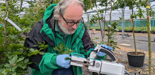 Scientist using equipment to measure leaf