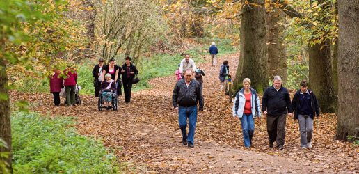 Enjoying an autumn walk in Delamere Forest Park