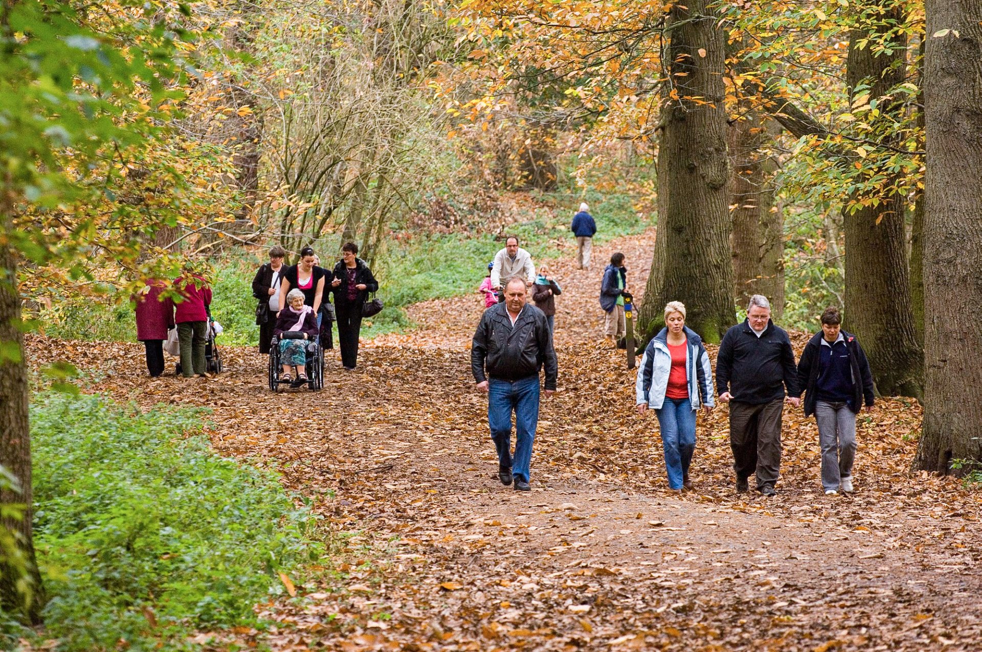 Enjoying an autumn walk in Delamere Forest Park