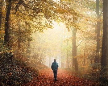 Person walking in woods