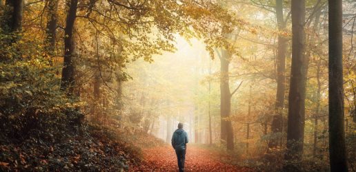 Person walking in woods