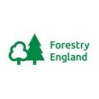 Forestry England logo
