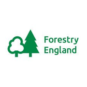Forestry England logo