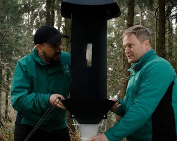Two people setting up a pheromone trap in forest.