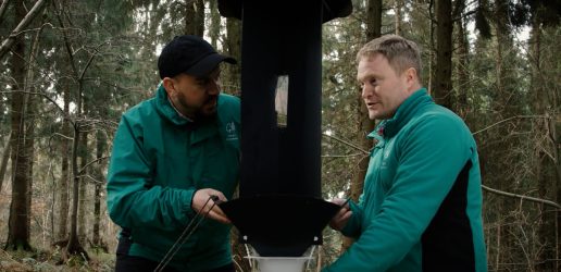 Two people setting up a pheromone trap in forest.