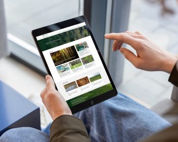 Forestry carbon information resource launches on the Climate Change Hub