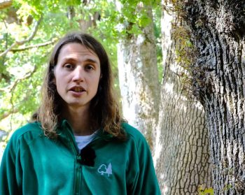 Joe Beesley of Forest Research.