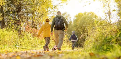 Parent, children and dog waking down path with autumn trees in the background.