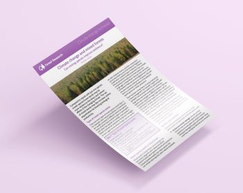 A graphic showing the mixed forests factsheet