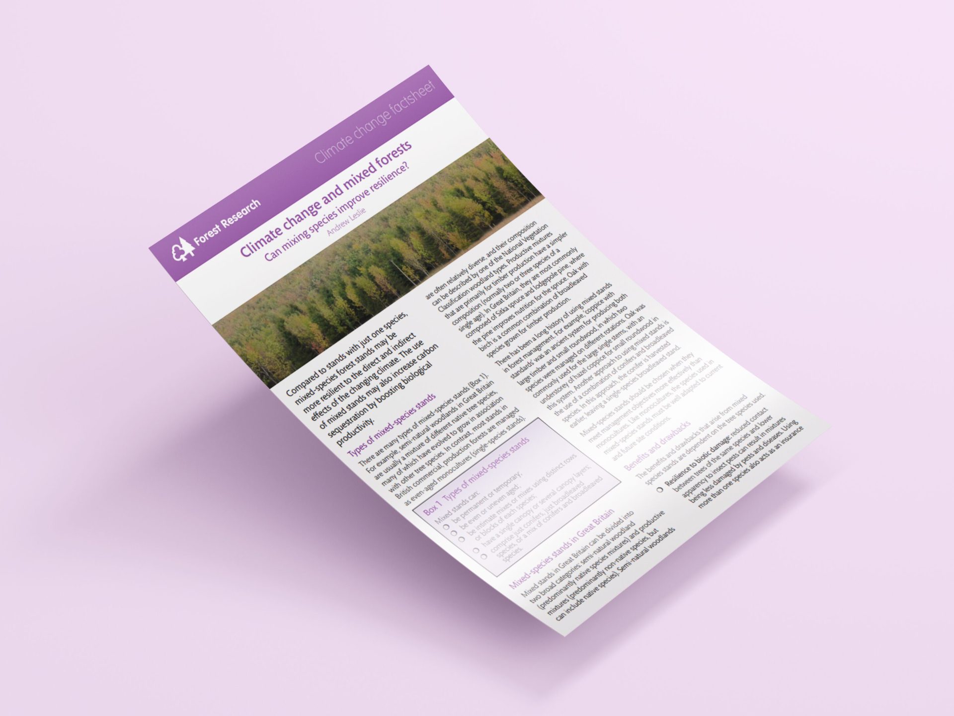 A graphic showing the mixed forests factsheet