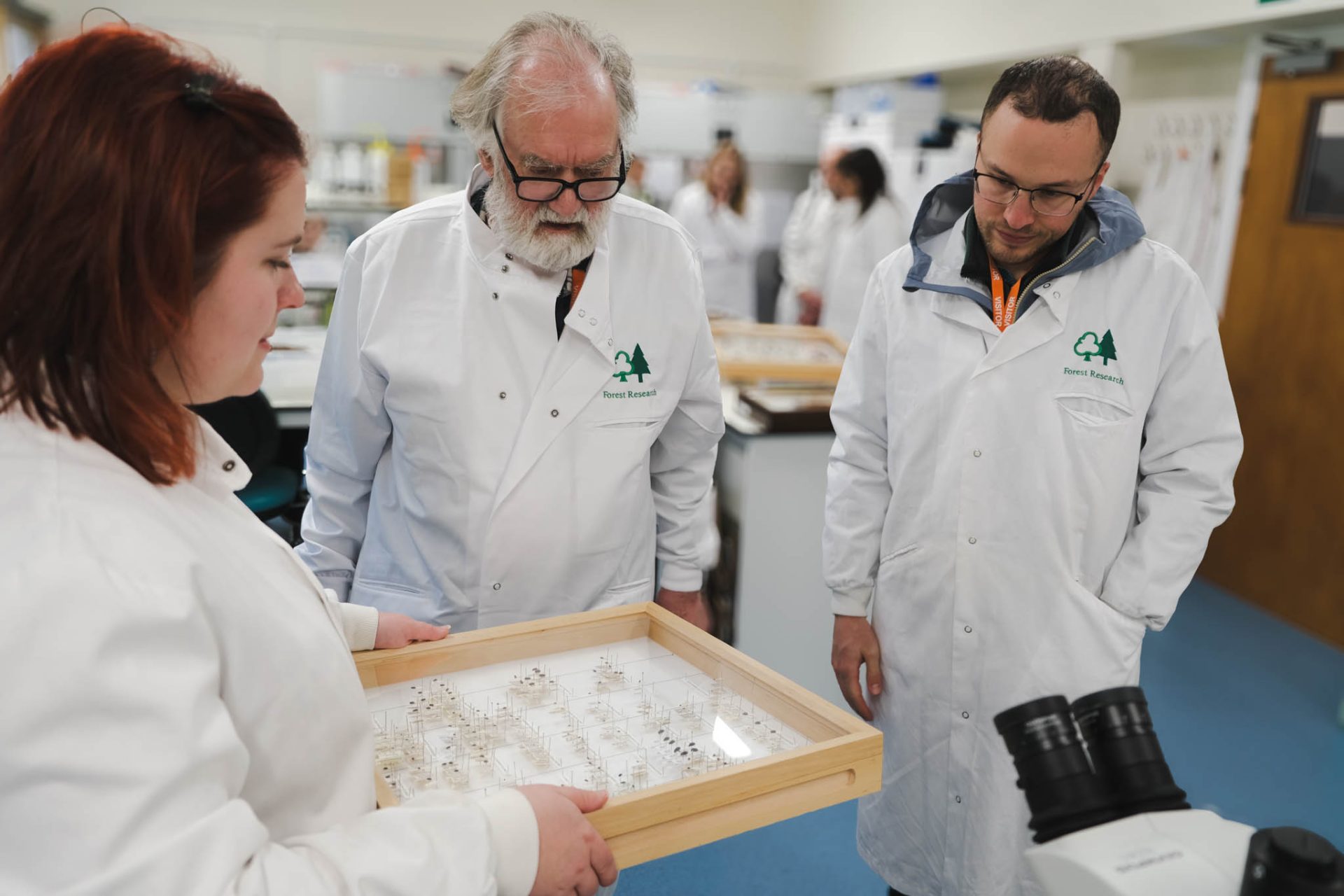 Two volunteers look at pinned insects in a case held by lab technician. 