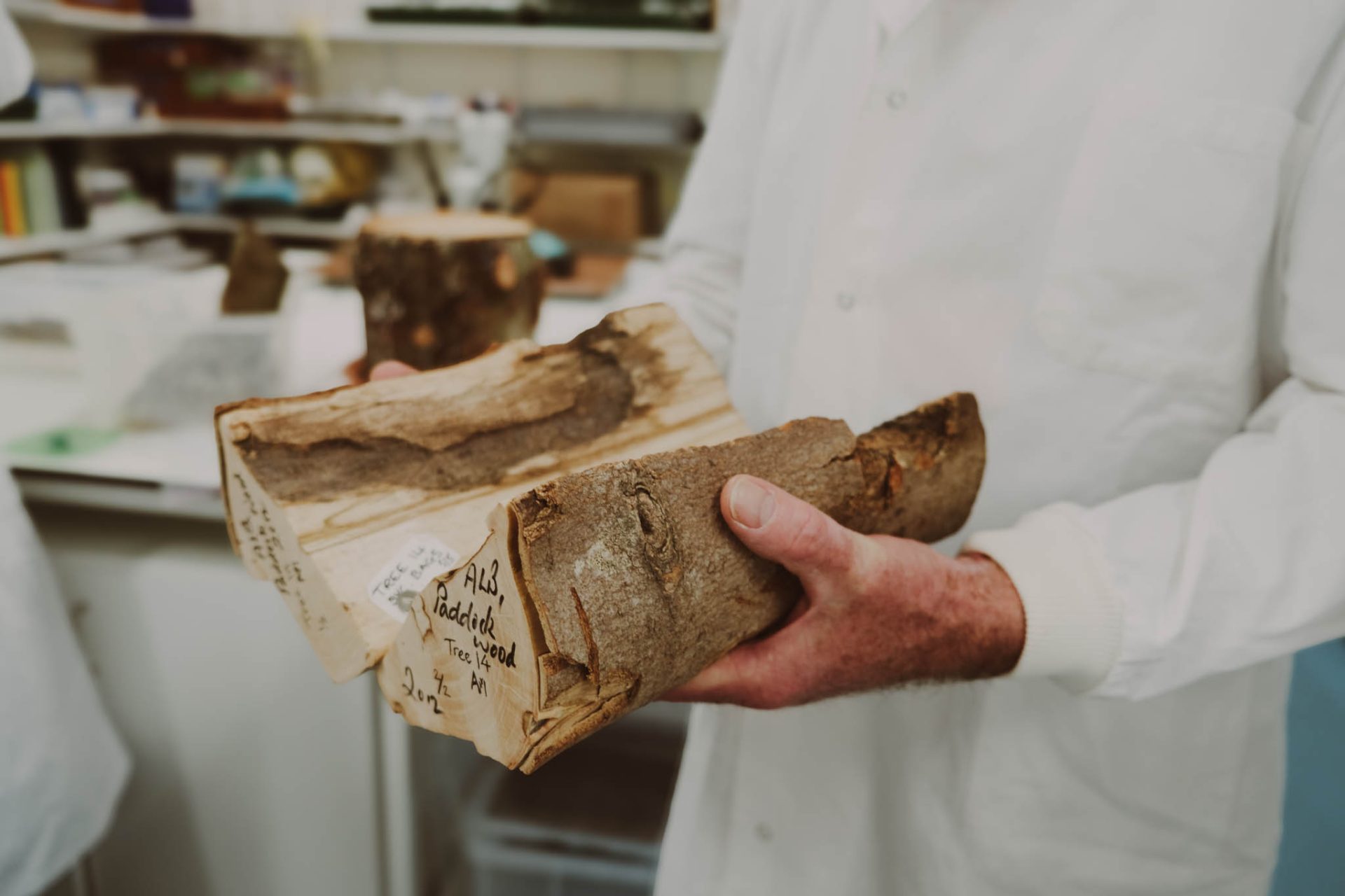 Person holding split log. 