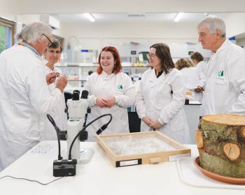 Volunteers gather round chatting to lab technician about samples. Microscope, pinned insect case and log in foreground.