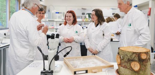 Volunteers gather round chatting to lab technician about samples. Microscope, pinned insect case and log in foreground.