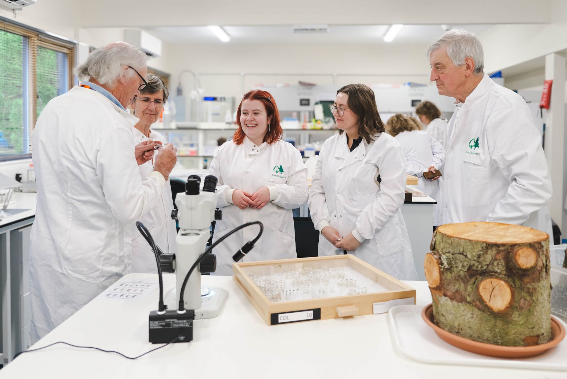 Volunteers gather round chatting to lab technician about samples. Microscope, pinned insect case and log in foreground. 
