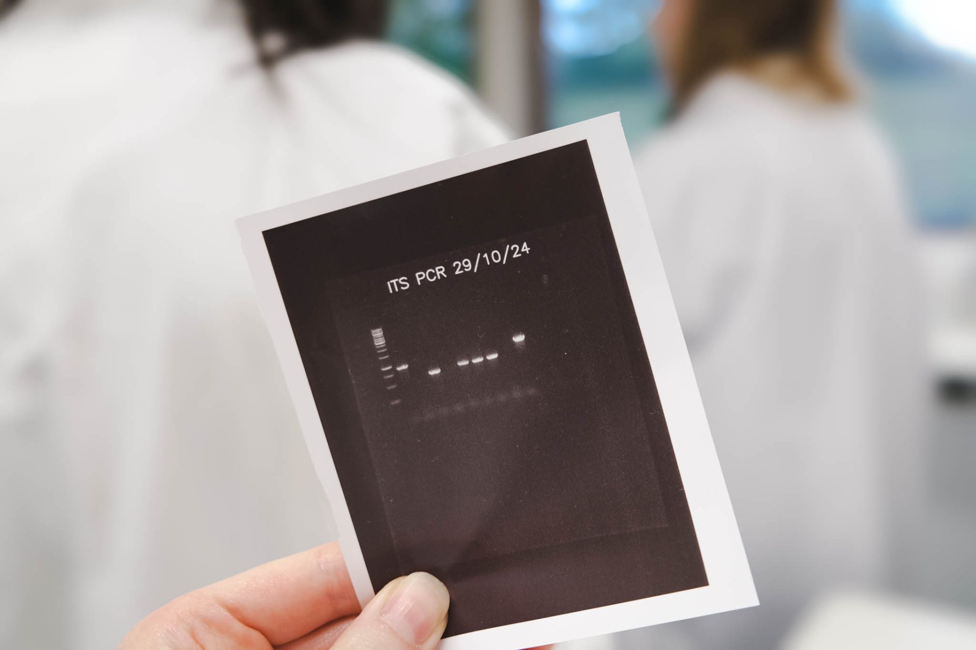 Close up of white markings on black paper. 