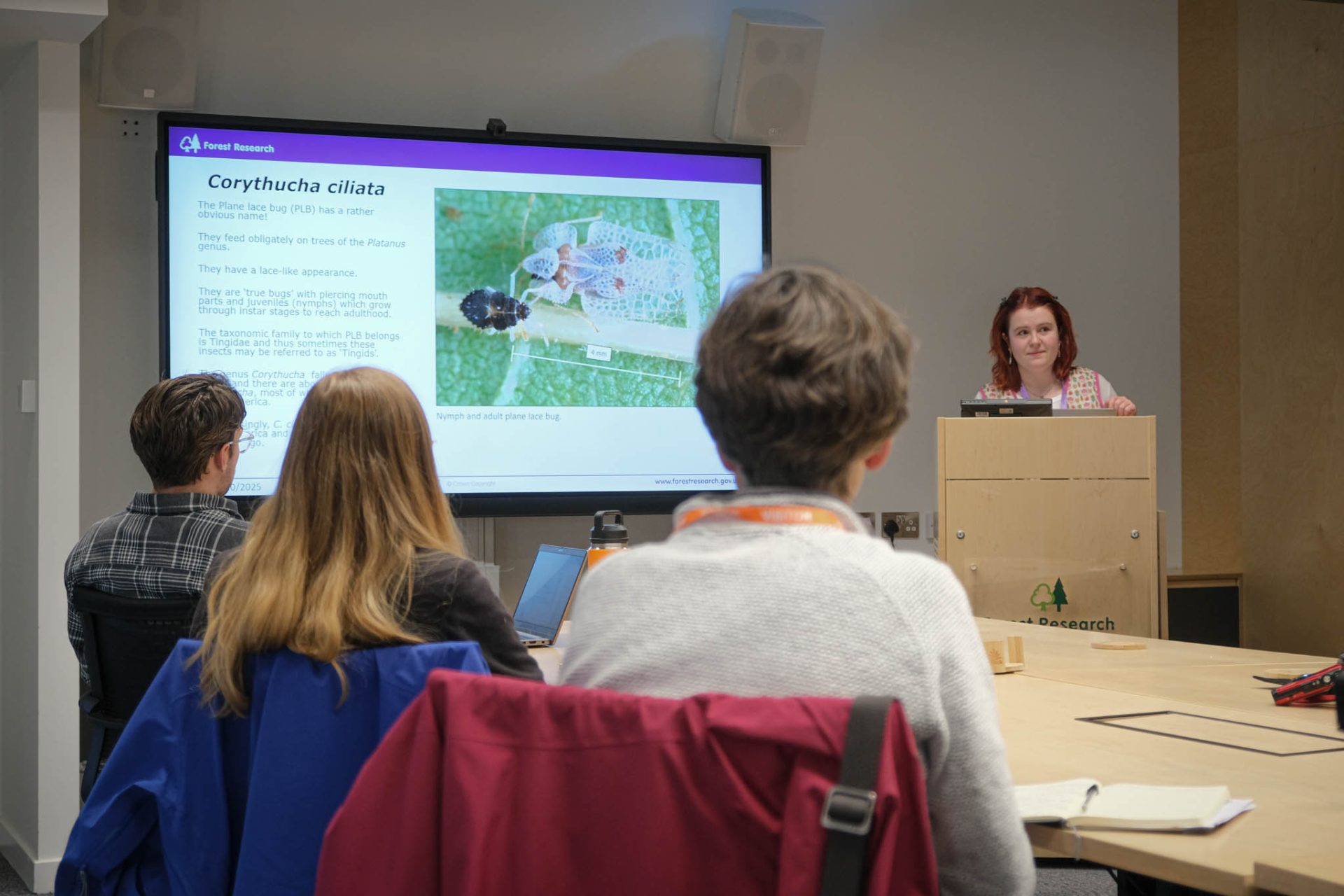 Person gives a presentation as others listen. 