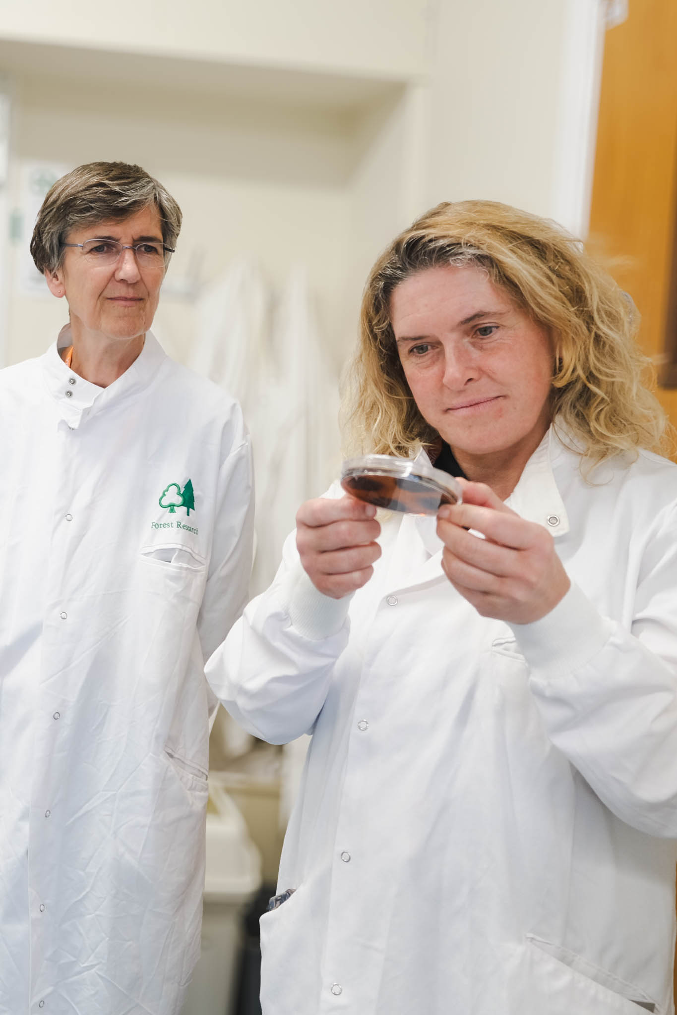 One person looks at contents of a petri dish as a second person looks on. 