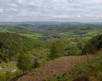 A view from the edge of Llyn Clywedog looking down the valley to Llanidloes. Wooded and field slopes in a Mid Wales valley.