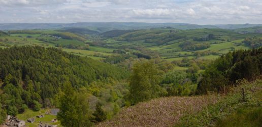 A view from the edge of Llyn Clywedog looking down the valley to Llanidloes. Wooded and field slopes in a Mid Wales valley.