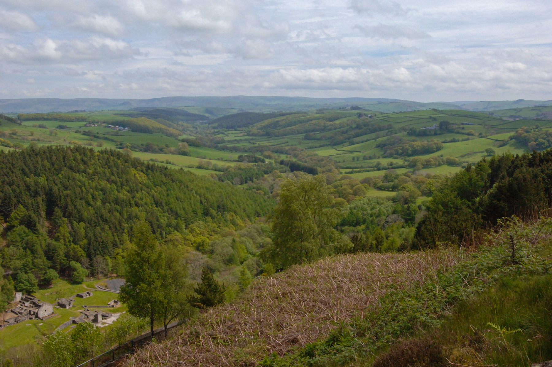 A view from the edge of Llyn Clywedog looking down the valley to Llanidloes. Wooded and field slopes in a Mid Wales valley.
