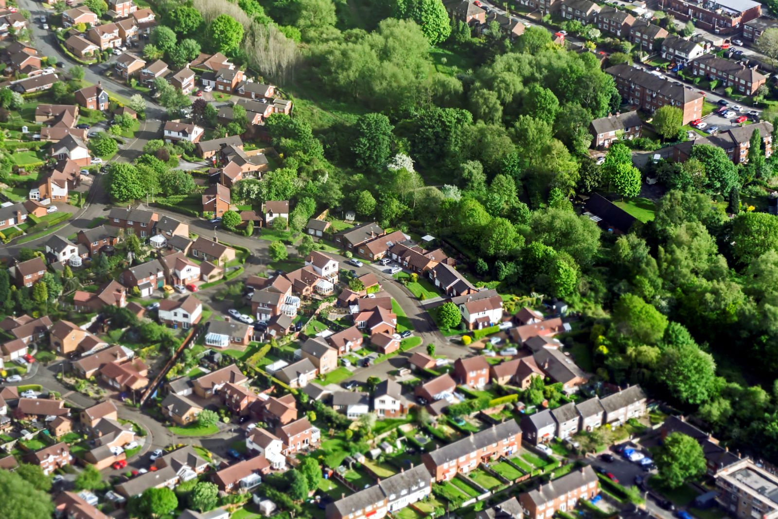 An aerial view of trees in an urban setting. 