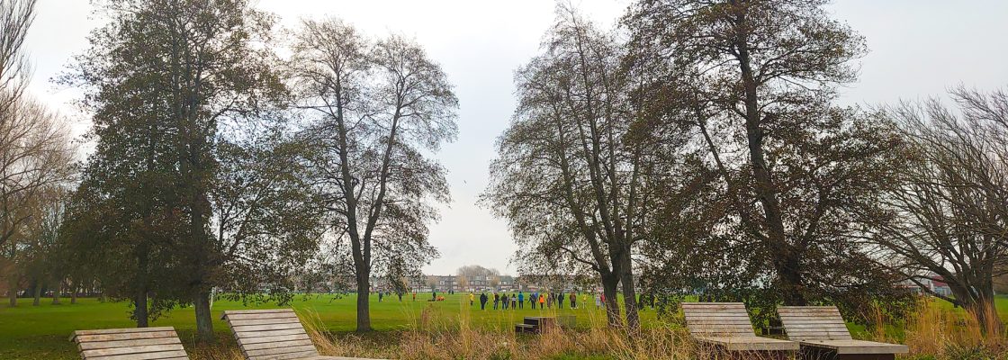 Trees in an urban landscape with people in the distance.