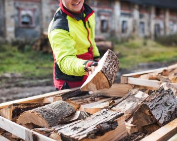 Man collects a pile of firewood on a heap. Coniferous and deciduous stacks of firewood.