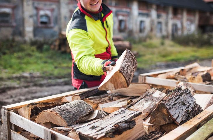 Man collects a pile of firewood on a heap. Coniferous and deciduous stacks of firewood.