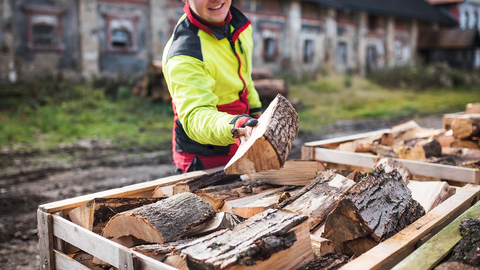 Man collects a pile of firewood on a heap. Coniferous and deciduous stacks of firewood.