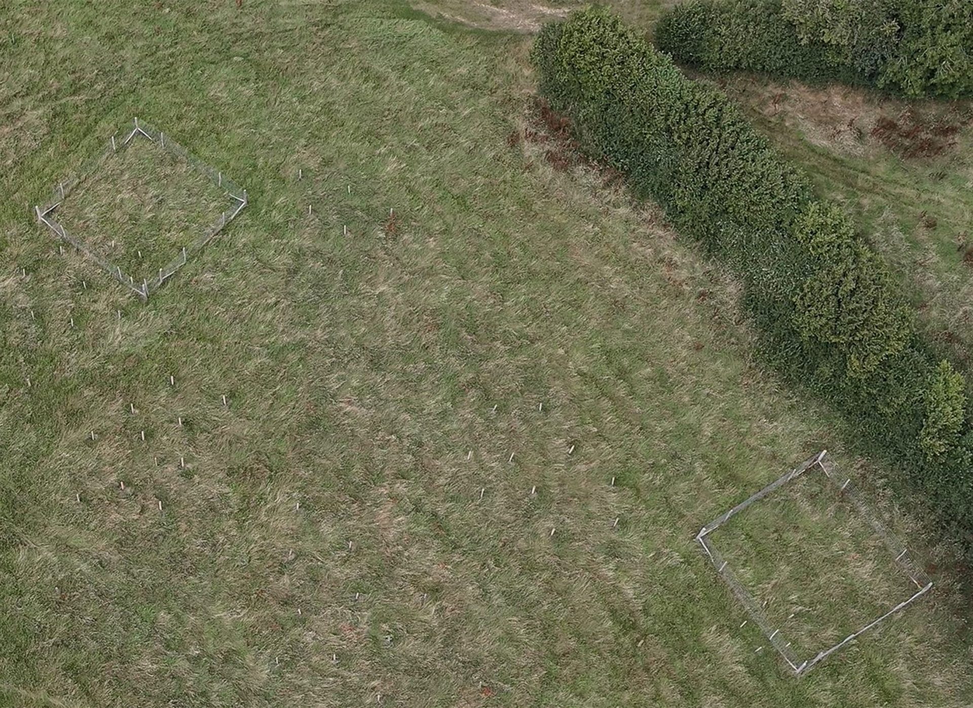 An aerial photograph looking down on two square plots within a grassy area, marked out by fencing. 