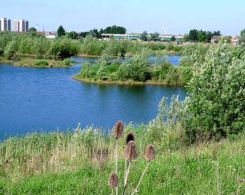 New land regeneration resources for creating green spaces on previously used land now available