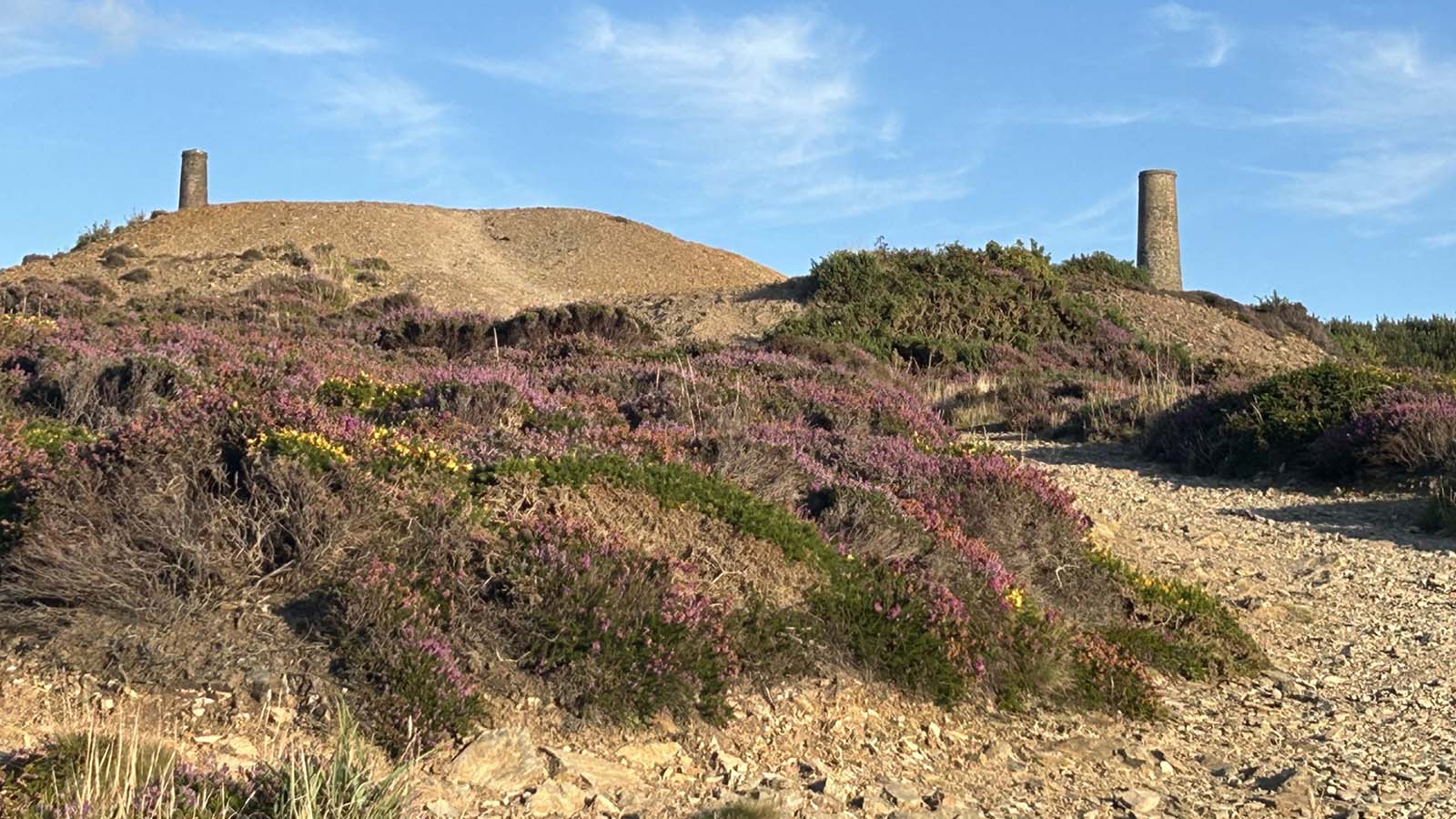Land with heather regrowing on it and copper mine in background