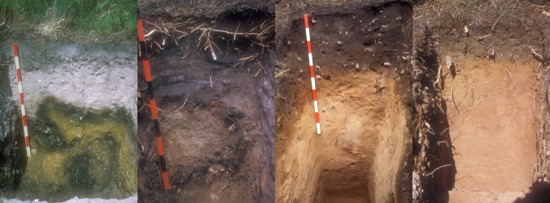Soil pits demonstrating four different soil types with horizons