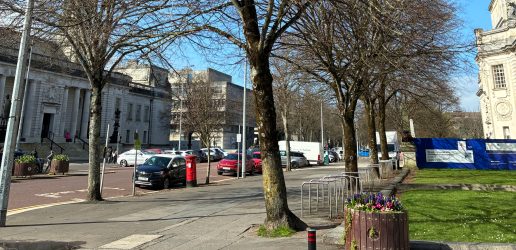 Trees lining a street in Cardiff city centre.